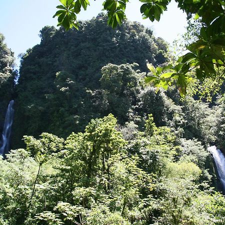 Natty Tropical Valley Roseau Exteriér fotografie