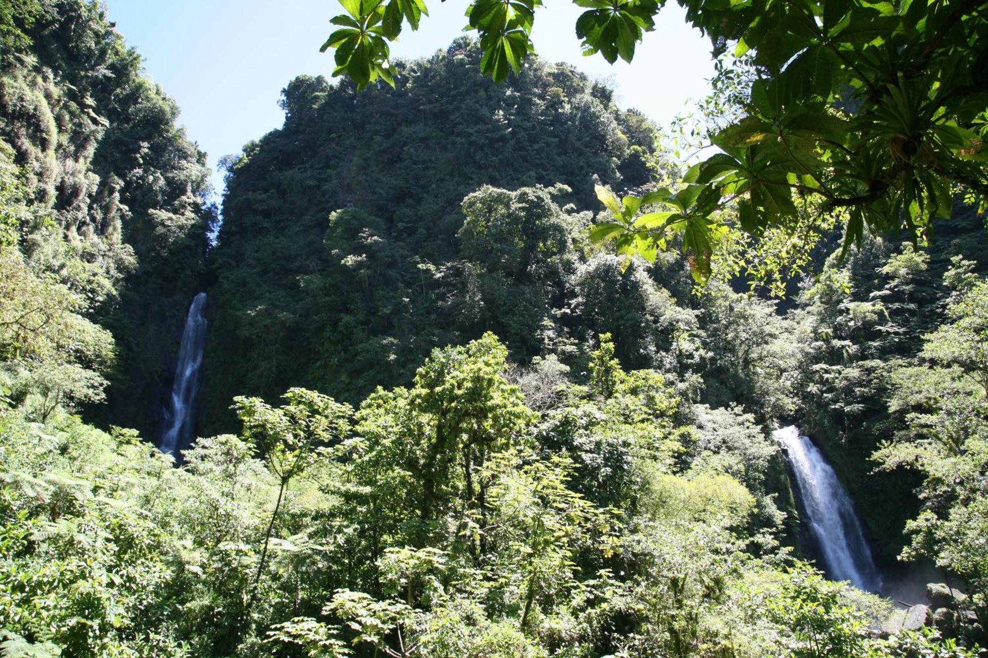 Natty Tropical Valley Roseau Exteriér fotografie