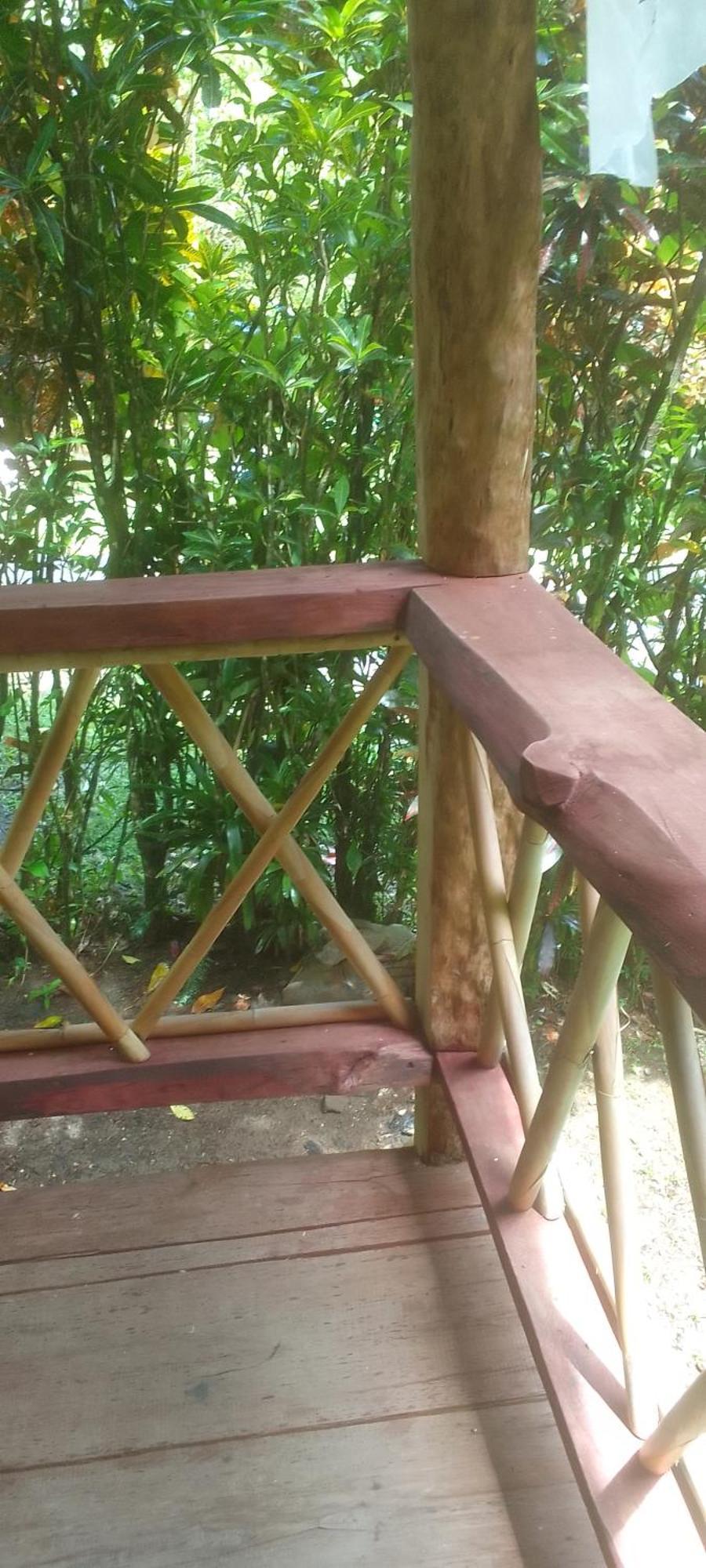 Natty Tropical Valley Roseau Exteriér fotografie