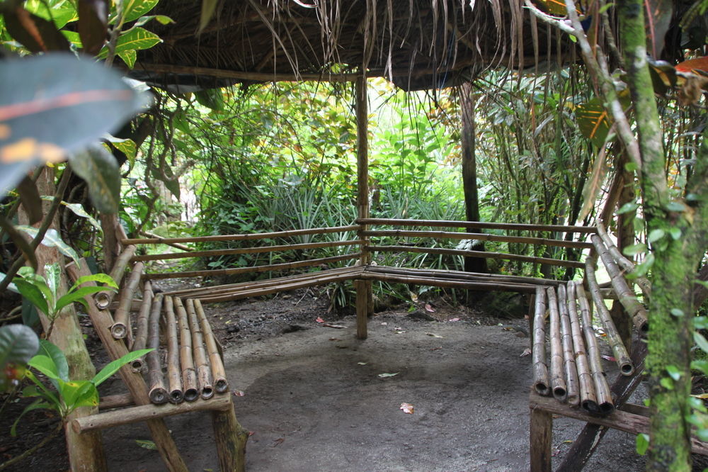 Natty Tropical Valley Roseau Exteriér fotografie
