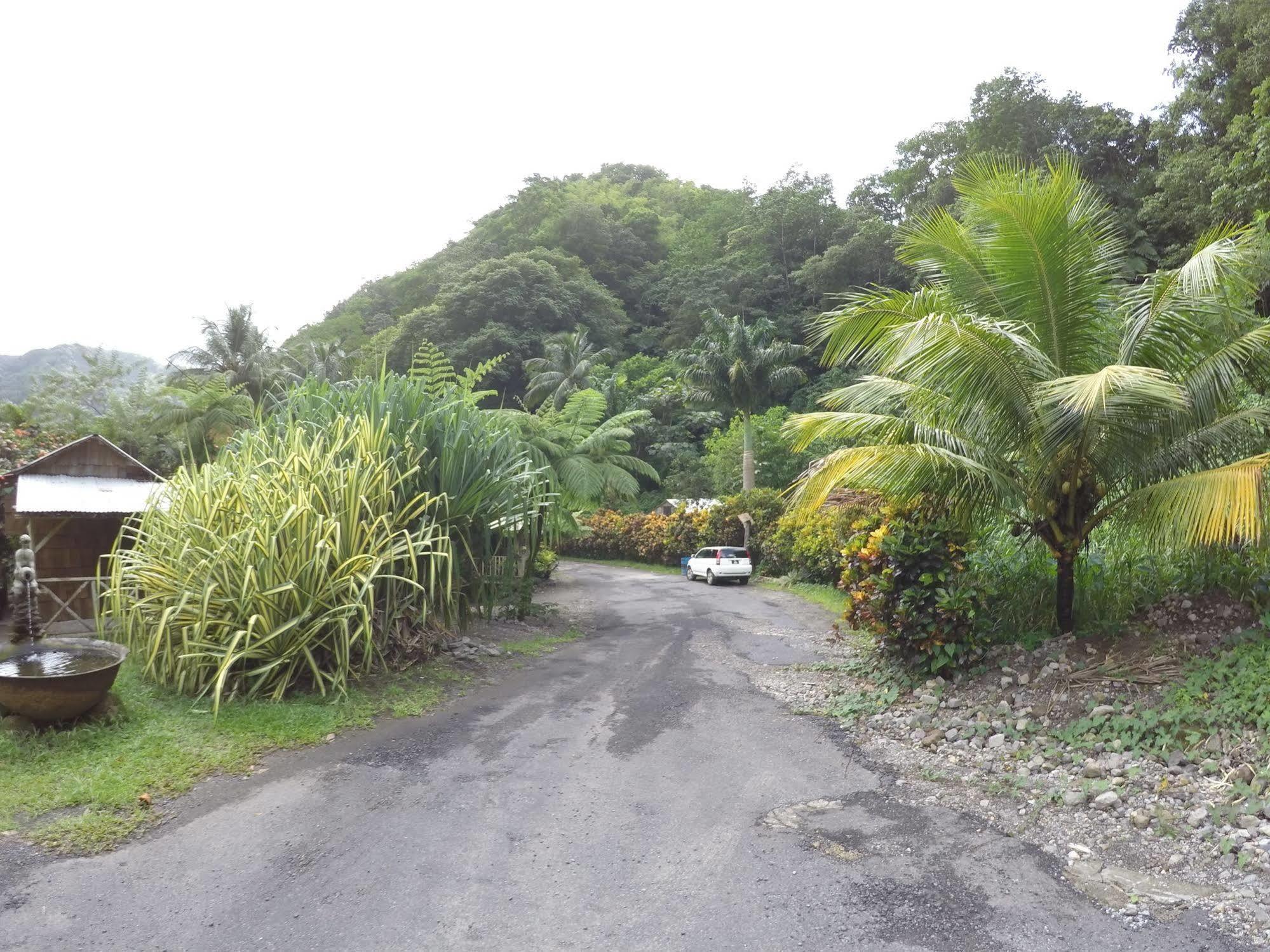 Natty Tropical Valley Roseau Exteriér fotografie